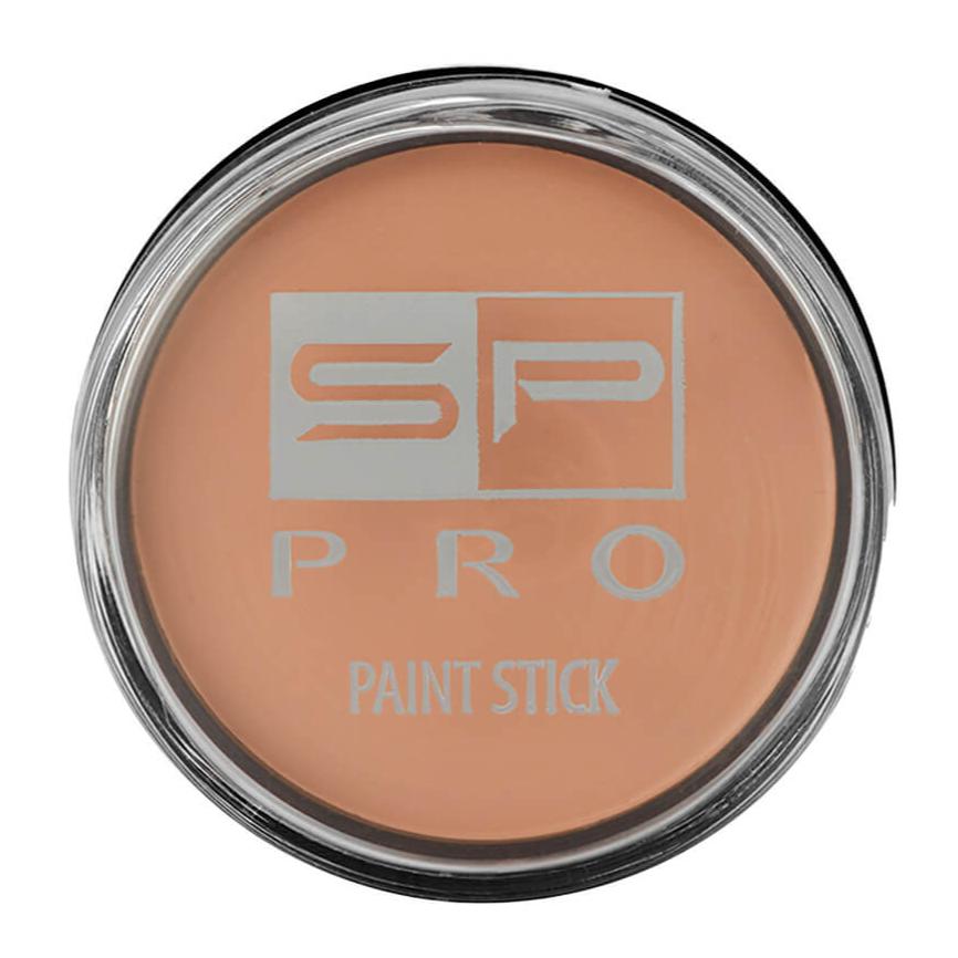 Corrector Paint Stick Sp Pro X 10 G